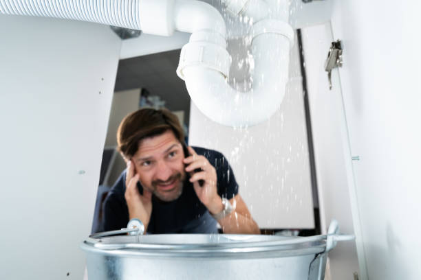 Best Same-Day Plumbing Service  in Seymour, TN