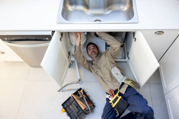 Best Local Plumber Services  in Seymour, TN