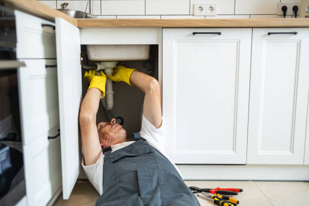 Best Plumbing Repair Near Me  in Seymour, TN