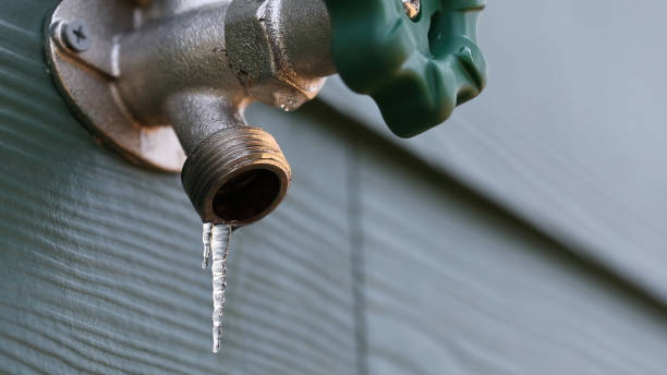 Best Sewer Line Repair  in Seymour, TN